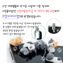 행복한 냥이네 이미지