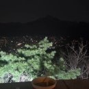 뉴스카이(주) | 3월 마지막 주말 꽃놀이｜북악스카이웨이｜모퉁이주방｜일산 호수공원