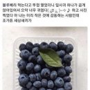 조가면