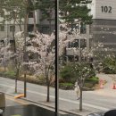 4月 2025