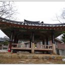 영광 침류정 이미지