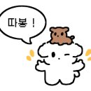 땡스투펫