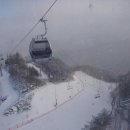 하이원콘도미니엄 이미지