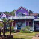 노비오스 이미지