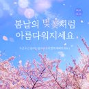 아비쥬의원신천