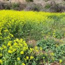 남해-239 이미지