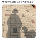 빠마 - 제주시 구좌로 75 | 빠마