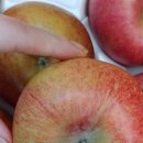 하이크린 이미지