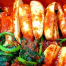 참참 티스토리