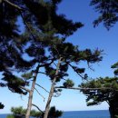 세미초등학교 이미지