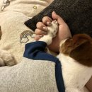 강송로74번길 이미지