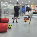 용인대국가대표태권도장 이미지
