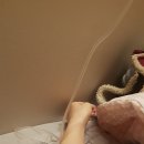 라자로 성모의원 이미지