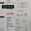 바디캠프 | 오토힐3일캠프 미톡 미바디 미셀120 리얼체험 후기