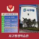 서구청 신관동 네이버블로그