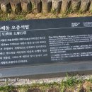 홍제동-5 이미지