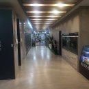 KS스포츠센타 이미지