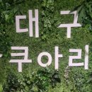 동대구 뽑기역 이미지