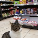 쉼터 편의점 이미지