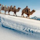 호텔 초원 이미지