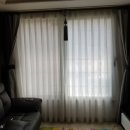 시공-나비 이미지