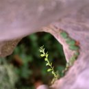 죽장한의원 이미지