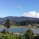 썬플라워펜션 이미지