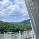 힐앤코