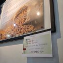 구암동139 | 139. [군산 맛집] 현지인 칼국수 찐 맛집 서래애 물총 칼국수, 보리밥은 서비스! (주차장 및 메뉴 소개)