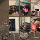 프레즌트커피그대로 | [카페유어프레즌트]의정부 실내 애견동반카페 강아지랑 재방문