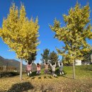 키친달팽이 | 촌캉스 하기 좋은 양산 원동달팽이