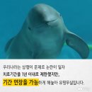 이상한나라의수족관
