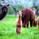 무부농장 이미지