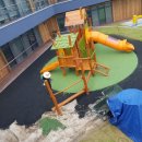 새솔유치원 이미지