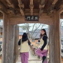 차담 | 용문사 템플스테이 휴식형 후기 4탄/스님과의 차담, 종치기, 저녁예불