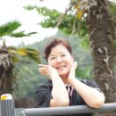 남해-243 이미지