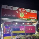 꼬꼬리아 이미지