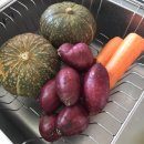 댕댕이맘마 이미지