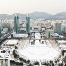 평촌 이미지