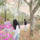 문경대학교 경북일보