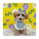 멍앤리치 이미지