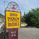 봉화재 반려견놀이터화장실 | 울산 동구 봉화재 반려견 놀이터 | 강아지 놀이터 🐕
