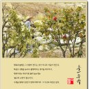 한국불교대학관음사 이미지