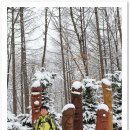 한일맛집 이미지