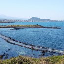 김녕환승정류장 이미지