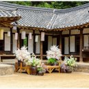 전주전통술박물관 이미지