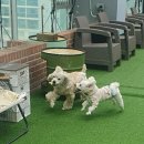 타카독스 커피 이미지