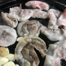 돌식당 티스토리