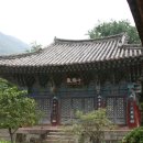 태흥사 Daum카페