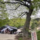 [충남 서산] 부석사 부처님 오신날 비빔밥과 금동관세음보살좌상 후기